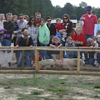 Hamlet is in the lead. But PC, that's Porkchop, is closing the gap. Sir France's Bacon is pull up the rear.
