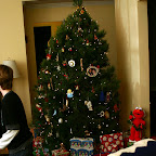 Dodo's Tree