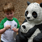 Pennies for Pandas