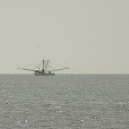 Ship-not-wrecked