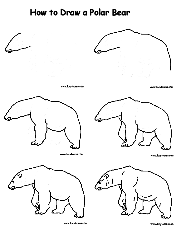 Dibujos faciles de osos polares - Imagui