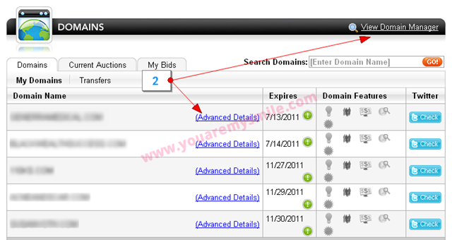[godaddy-blogger-custom-domain2[6].png]