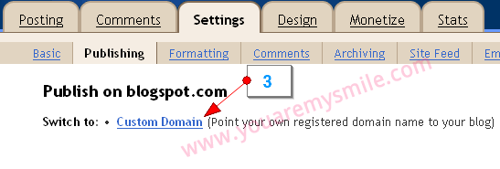 [blogger-custom-domain-cocc8[2].png]