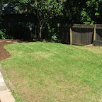 dscf5387.jpg
