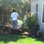 dscf5331.jpg