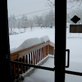 DSC_0019.JPG