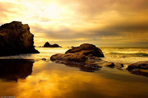 chest tattoo quotes for girls chest tattoo quotes for girls