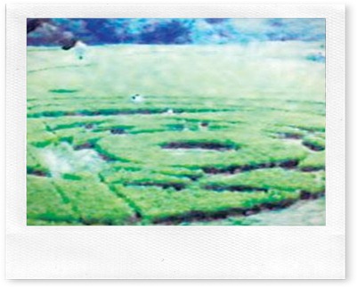 ufo_mendarat_1 ufo_mendarat_1