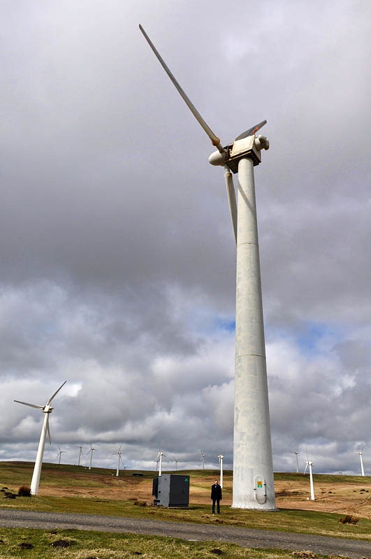 [They're big[6].jpg]