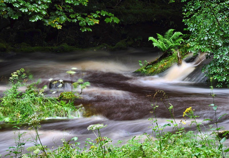 [River Conon[18].jpg]