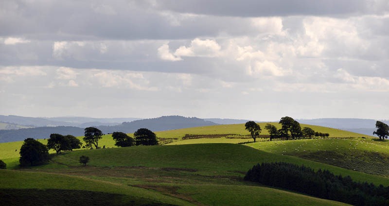 [DSC_6428_sm[3].jpg]