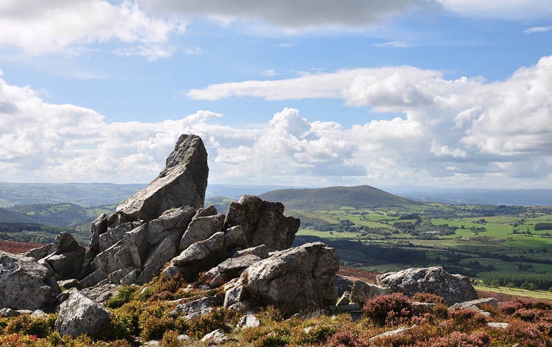 [DSC_6442_sm[3].jpg]