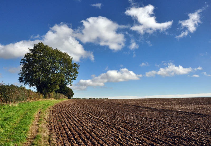 [Harrowed ground[3].jpg]