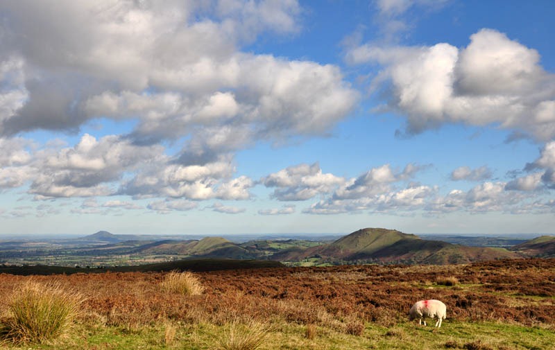 [View to the Wrekin[3].jpg]