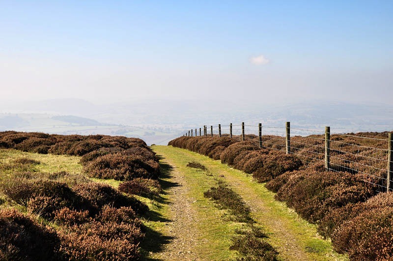 [Out of the forest[3].jpg]