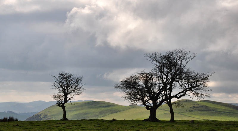 [View to Foel Rhiwlas[3].jpg]