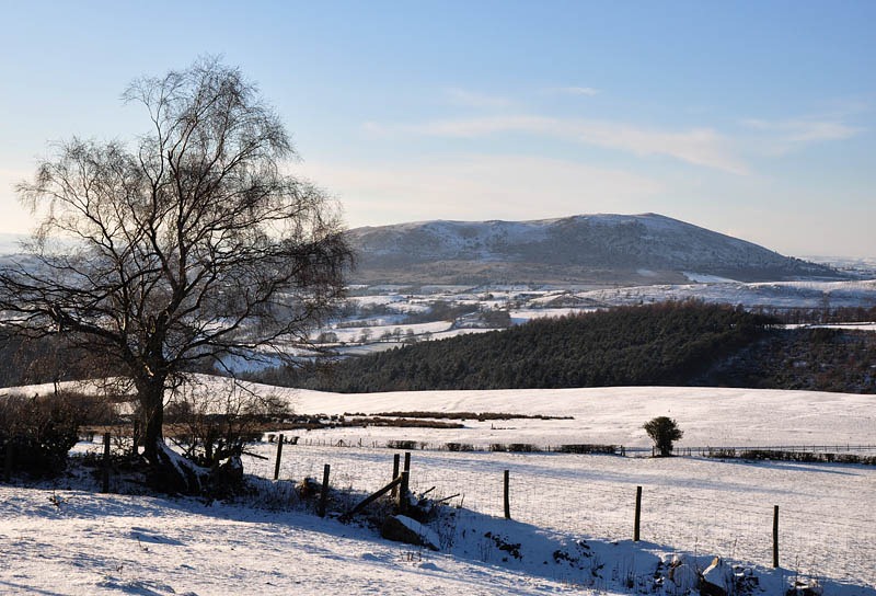 [Corndon Hill[3].jpg]