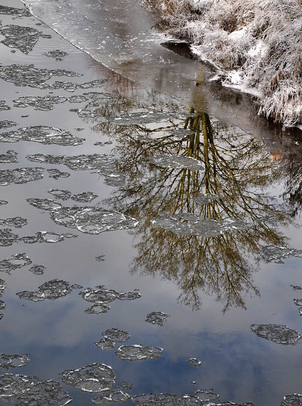 [Frozen Severn 4[2].jpg]