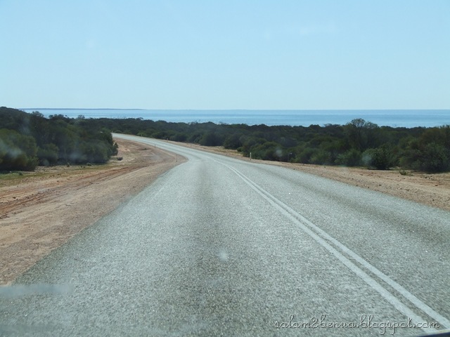 [DSCF80827.jpg]