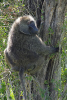 IMGP2749.JPG
