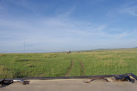 IMGP2682.JPG
