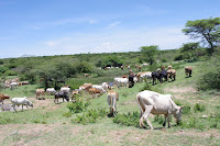IMGP2301.JPG