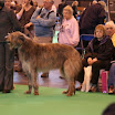 IMG_9238.JPG