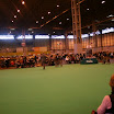IMG_9233.JPG