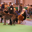 IMG_9241.JPG