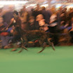 IMG_9264.JPG