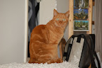 DSC_0013.JPG