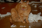 DSC_0016_2.JPG