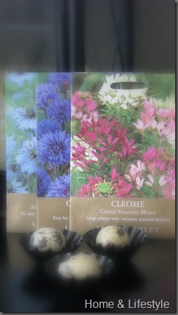 Home & Lifestyle Home & Lifestyle