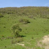 2006 05 13 Bugojno Stecci