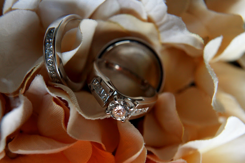 IMAGE: http://lh5.ggpht.com/_-nUXpYGw-FA/TJUbxgvJ7HI/AAAAAAAACg8/dShMBQ_LtvA/s800/Foster%20Steed%20Wedding19.JPG