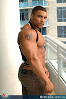 muscle hunk Tim Liggins