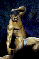 Sexy Male Bodybuilder - On the Stage