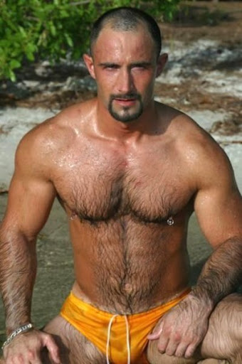 Free Gay Hairy Men Pictures 75