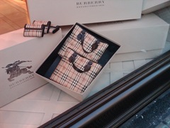 burberry