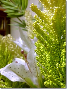 flower 2 flower 2
