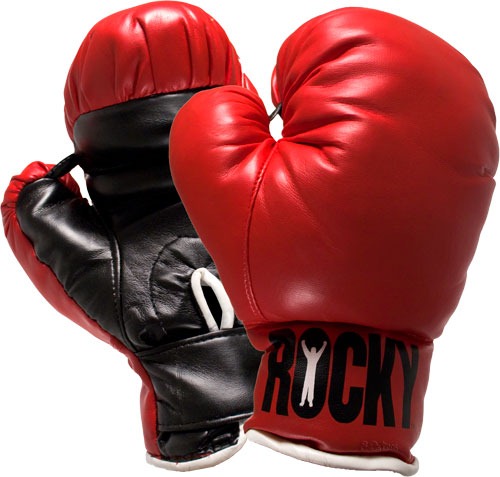 [420279_100511073515_Gloves[6][21].jpg]