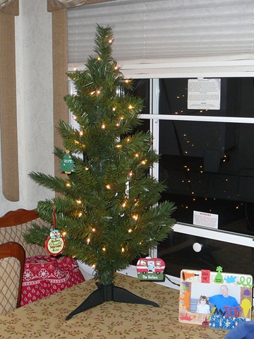 [Christmas tree 2010[5].jpg]