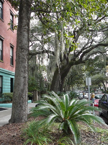 [and tree-lined streets[5].jpg]