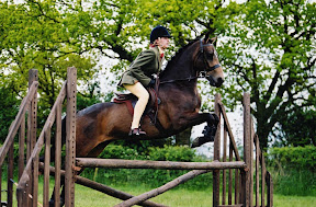 horse picture