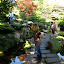 Tea Garden.