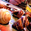 Escargot! A must in Paris :)