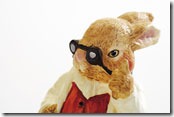 rabbut with glasses