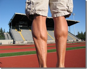 christmas calves