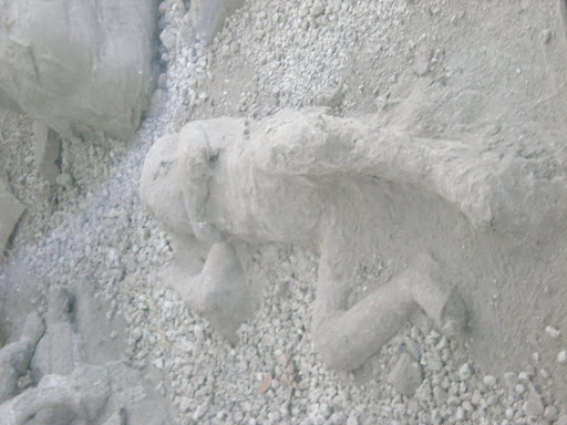 plastercast bricks
