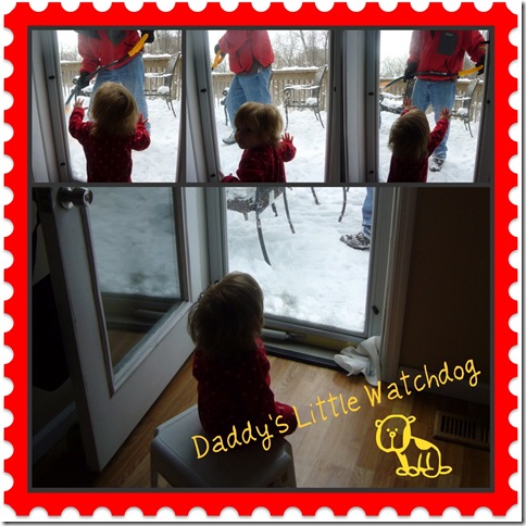 daddy's little watchdog